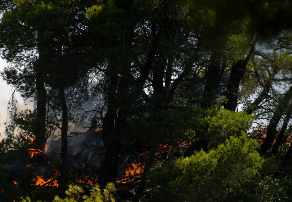 Φωτιά στα Μέγαρα: Μήνυμα του 112 για εκκένωση