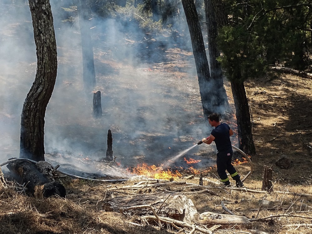 Πυρόπληκτοι: αναστέλλονται οι φορολογικές υποχρεώσεις - Απαλλαγή από ΕΝΦΙΑ