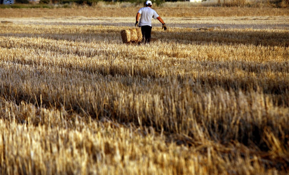 Πιστώνονται 451 εκατ. ευρώ για Βασική Ενίσχυση, Αναδιανεμητική και Νέους Γεωργούς